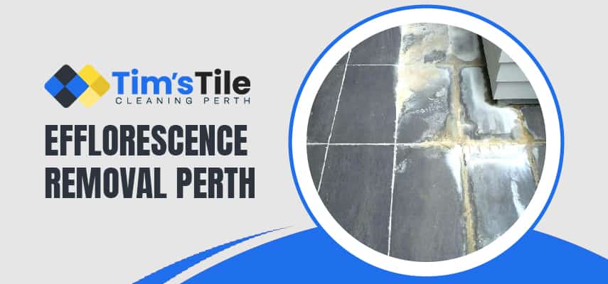 Efflorescence Removal Perth
