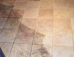 Tile  And Grout Cleaning