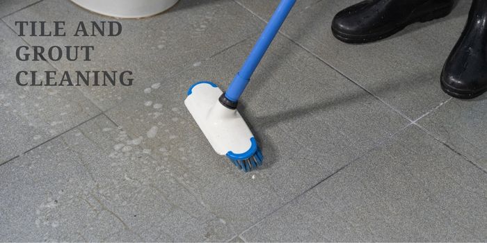 Tile and Grout Cleaning Bassendean